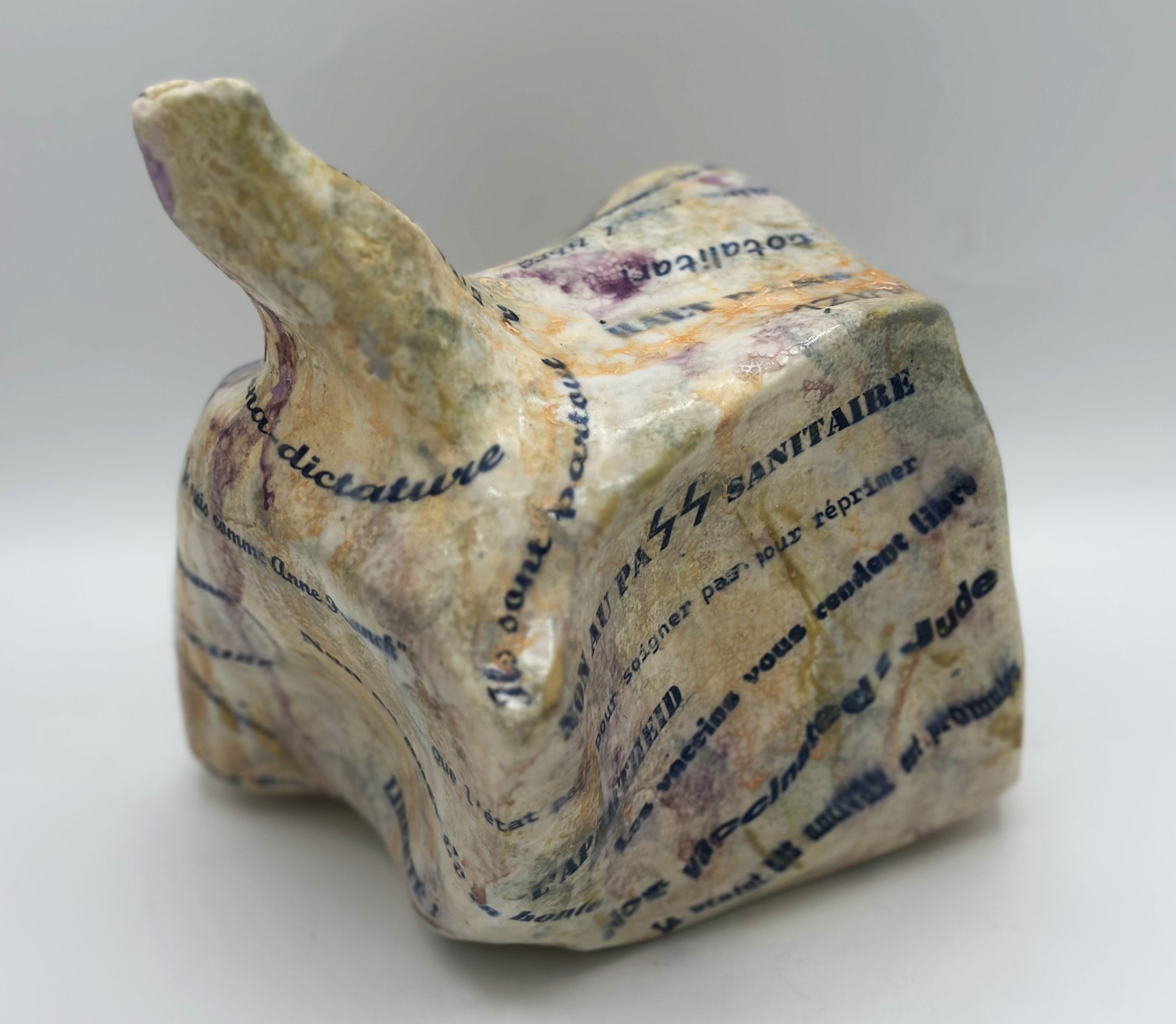 LE COVID, VAGUE VIRALE OU VAGUE DE HAINE